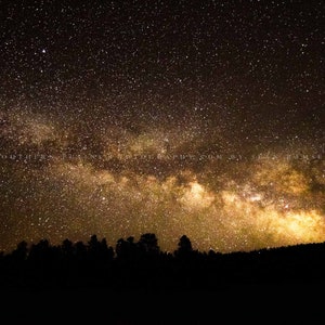 Night Sky Photography Print - Picture of Milky Way Galaxy Above Tree Silhouettes in Colorado Starry Landscape Wall Art Celestial Decor