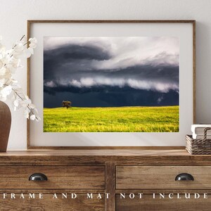 Storm Photography Print Picture of Thunderstorm Passing Behind Lone Tree on Nebraska Prairie Landscape Wall Art Nature Decor image 4