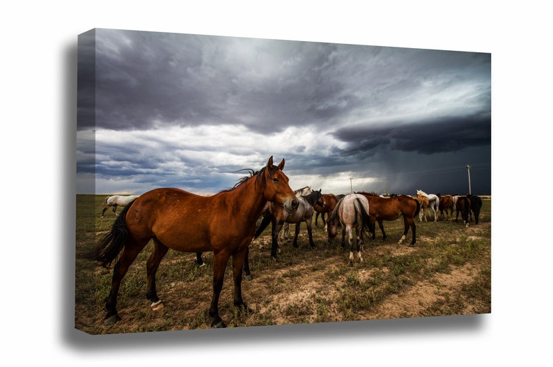 Western Canvas Wall Art Photography Gallery Wrapped Canvas Etsy