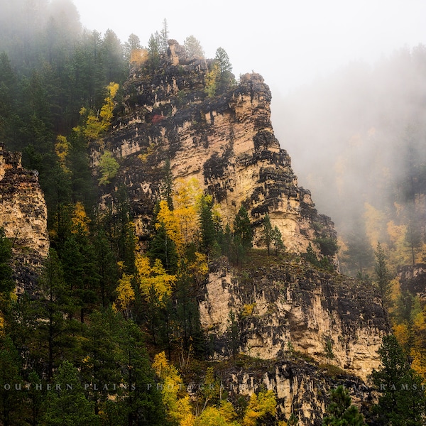 Black Hills Picture - Fine Art Photography Print of Spearfish Canyon with Fog in South Dakota Landscape Wall Art Photo Decor 5x7 to 40x60