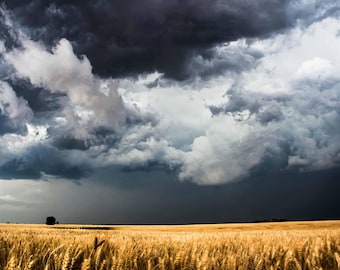 Storm Clouds Over Wheat Field Kansas • Print | Canvas | Metal | Framed • Farm, Country, Landscape, Photography, Picture, Wall Art, Decor