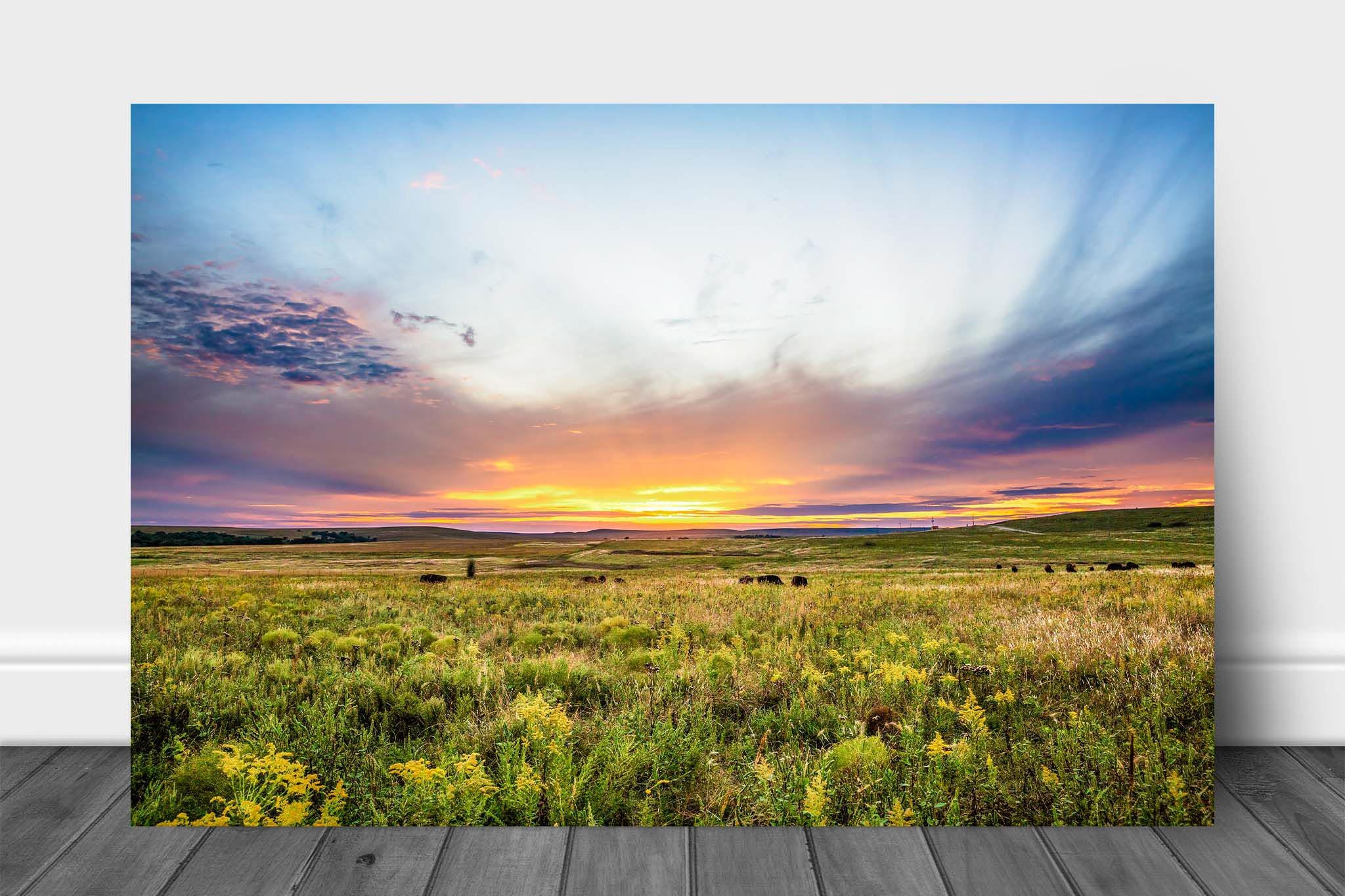 Poster mural imprimé HD - Chevaux au galop en prairie – Chevaux Passion