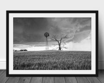 Framed and Matted Print - Black and White Picture of Old Windmill and Dead Tree in Wheat Field in Oklahoma Country Wall Art Farmhouse Decor