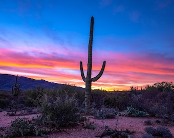 Fine Art Landscape Photography Print Desert Sunset Arizona - Etsy