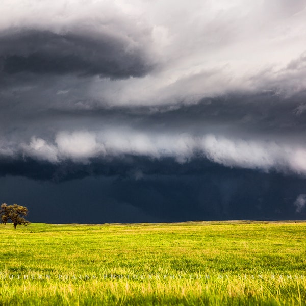 Storm Photography Print - Picture of Thunderstorm Passing Behind Lone Tree on Nebraska Prairie Landscape Wall Art Nature Decor