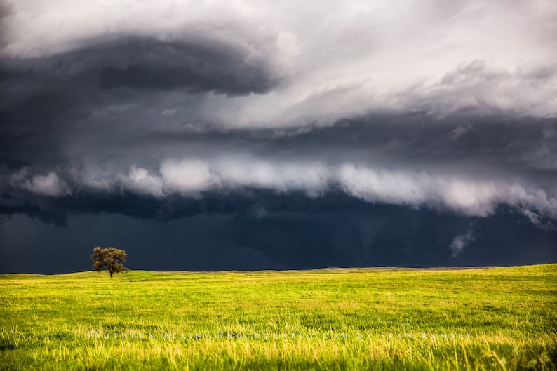 Storm Photography Print Picture of Thunderstorm Passing Behind Lone Tree on Nebraska Prairie Landscape Wall Art Nature Decor image 1