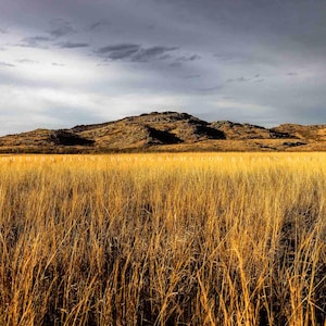 Wichita Mountains Wildlife Refuge Oklahoma • Print | Canvas | Metal | Framed • Prairie Grass, Landscape, Photography, Picture, Wall Art