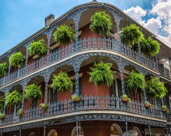 New Orleans Photography Print - Wall Art Picture of Hanging Ferns On Corner Building in French Quarter Southern Louisiana Travel Decor