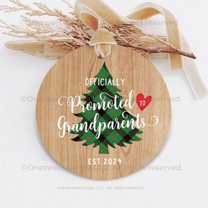 Promoted to Grandparents Ornament Grandparent Gift Grandparents Christmas Ornament Personalized Ornament Ornaments for Grandparents 198.