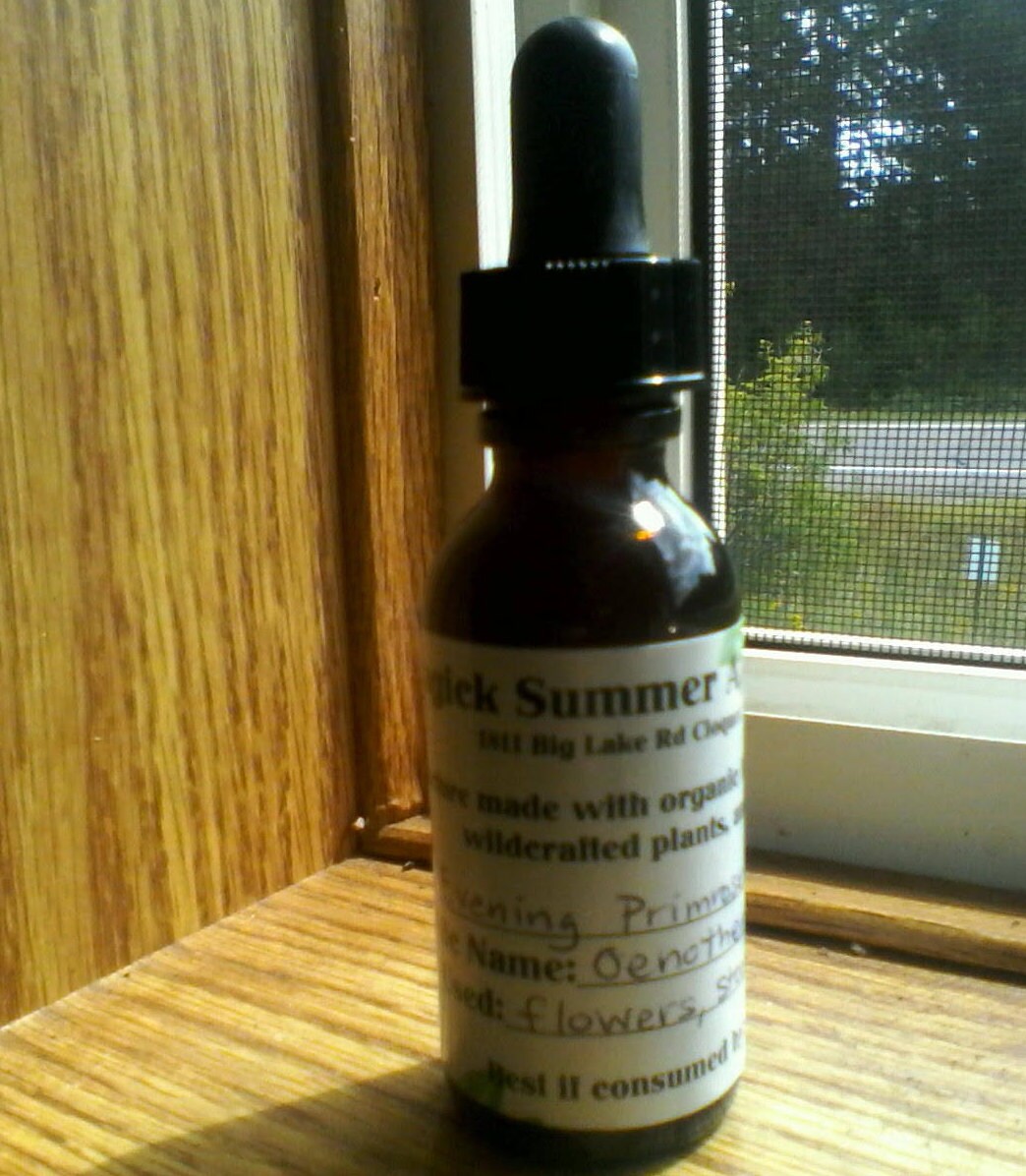 TINCTURE Evening Primrose oenothera Biennis Organic Etsy