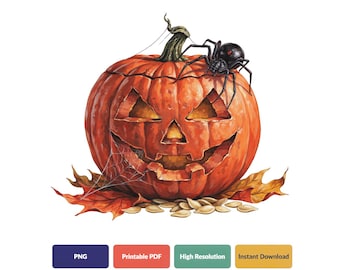 Fall Clipart | Pumpkin PNG | Spooky Halloween Spider | Digital Download