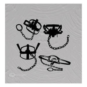 May include: Four black metal animal traps with chains. The traps are open and ready to be set.