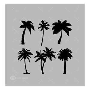 Six Palm Trees Vector Images SVG Files Digital Cutting Files  Ai - Eps - PNG - DXF - Svg