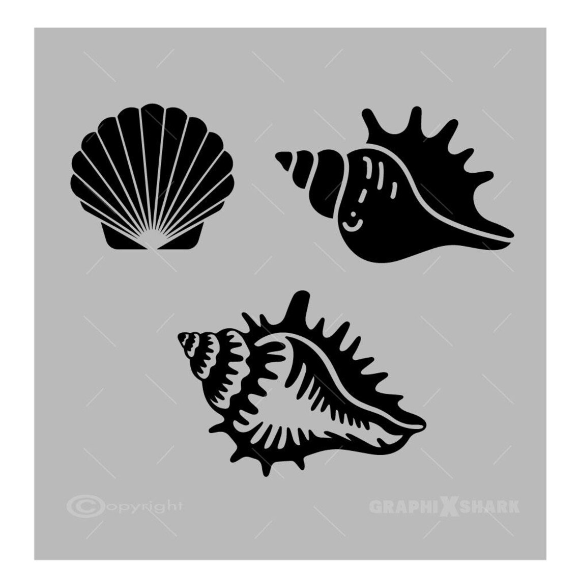 Seashell SVG Bundle: Conch & Scallop Shell Cut Files (digital Download ...