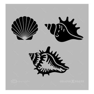 Seashell SVG Bundle: Conch & Scallop Shell Cut Files (Digital Download)