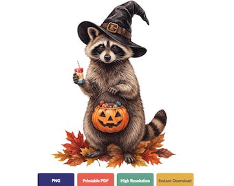 Fall Clipart | Witch Hat Racoon PNG | Halloween Trick Or Treat | Digital Download