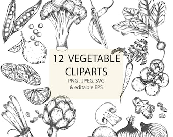 12 Vegetable clipart for commercial use