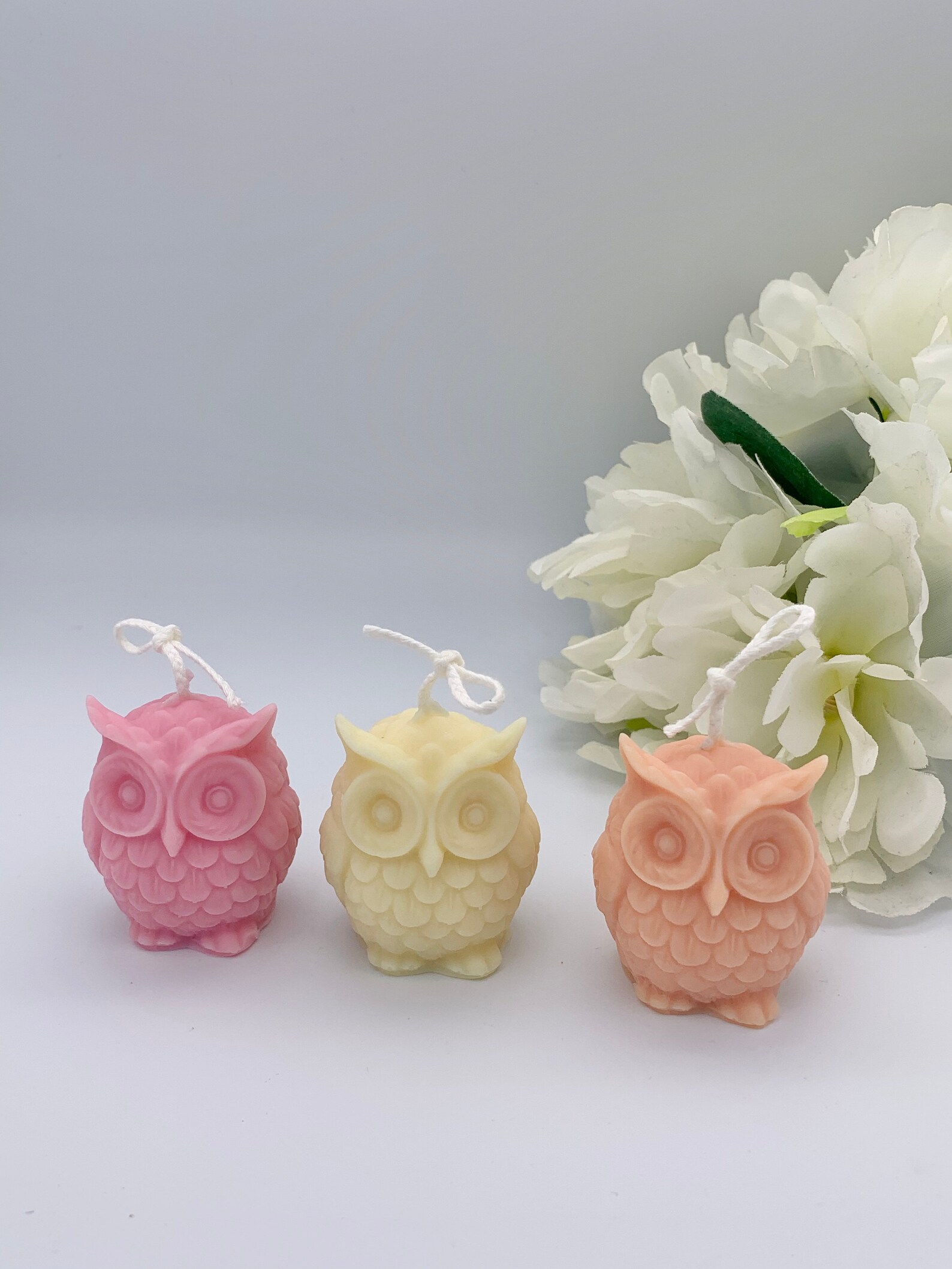 Set of 3 mini owl candles in a gift box / 100 soy wax / Etsy