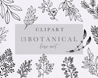 Botanical Clipart Leaf Bouquet Hand Drawn Fine Line Art   Leaves Tree Branch clipart  svg, Leaf svg, png, jpg, eps, pdf /plant