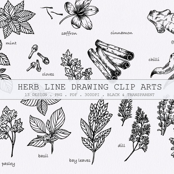 Thyme Line Drawing Etsy