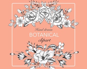 29 Botanical line drawing floral clip art,Corner Border Commercial,  Black and White Clipart, Floral Digital Frames, Hand Drawn Floral PNG