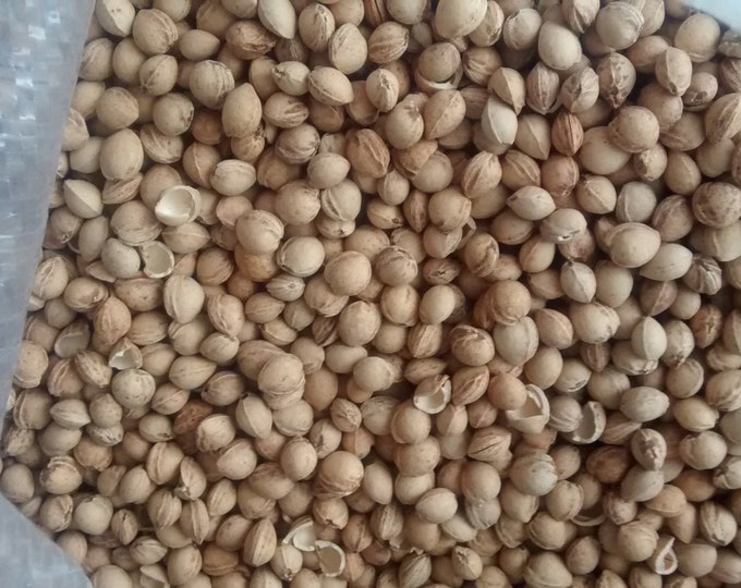 8lbs Clean Dried Cherry Pits Etsy