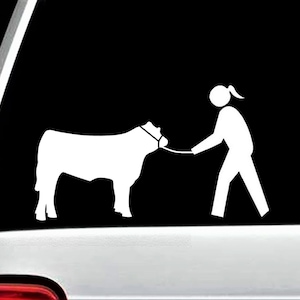 Show Cattle Decals for Car | Cow Showing Decals | Show Steer Stickers | Show Heifer Livestock Decal | Show Mom Decal | Show Dad Decal H1087