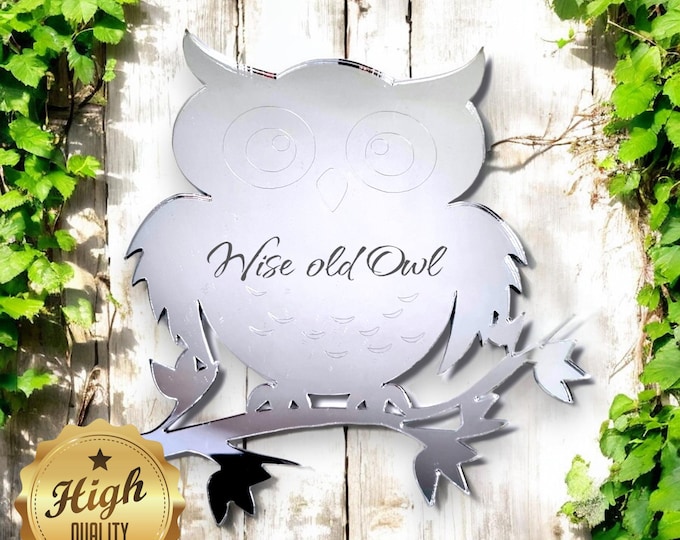 Owl Shaped Acrylic Mirror: Custom Colors & Sizes, Indoor/Outdoor Decor