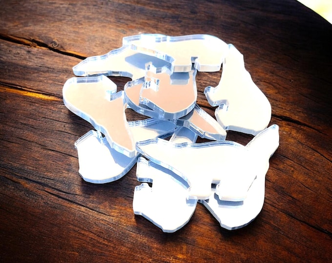 Polar Bear Acrylic Craft Mirrors: Custom Colors & Sizes, Pack of 10