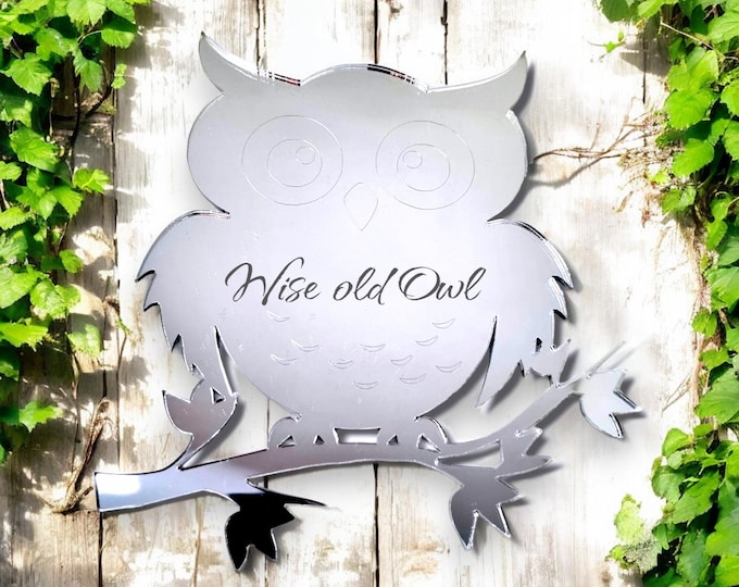 Owl Shaped Acrylic Mirror: Custom Colors & Sizes, Indoor/Outdoor Decor