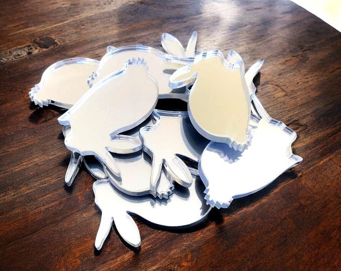 Rabbit Shaped Acrylic Crafting Mirrors: Custom Colors & Sizes (Pack of 10)