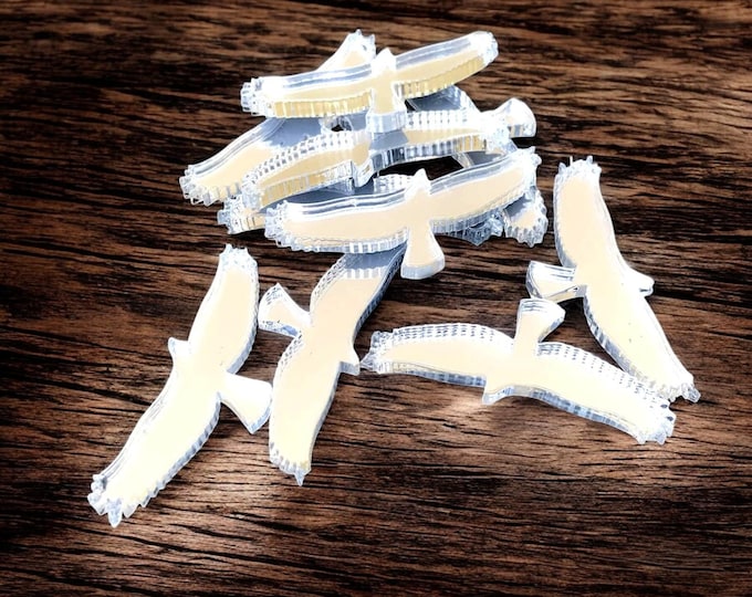 Eagle Acrylic Crafting Mirrors: Custom Colors & Sizes, Pack of 10