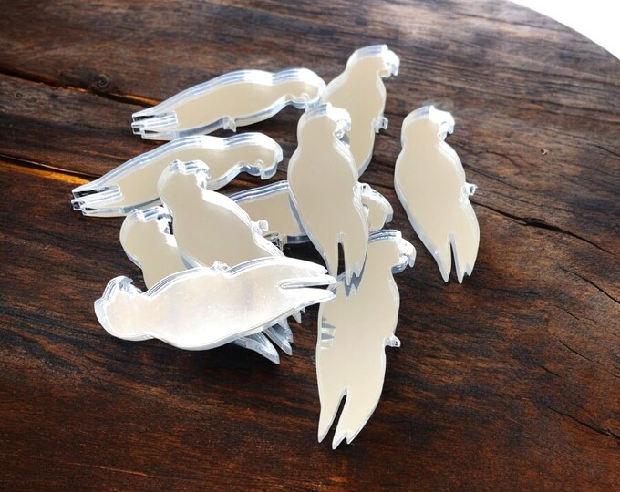 Parrot Acrylic Crafting Mirrors: Custom Colors, Sizes - Pack of 10