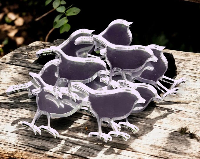 Christmas Robin Acrylic Crafting Mirrors: Custom Colors & Sizes (Packs of 10)
