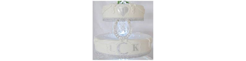 for Wedding Party Cakes 10cm 4 High Butterfly Round Latte Beige Mat Acrylic Cake PillarsCake Separators Size 6 7 8 9 10 11 12
