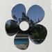 Daisy Shaped Garden Mirrors, Bespoke Shapes Made 