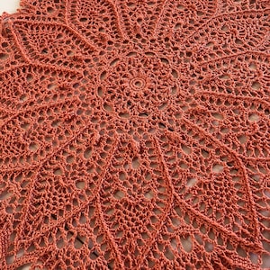 May include: A large, round, crocheted doily in a terracotta orange color. The doily has a delicate, intricate pattern with a central motif.