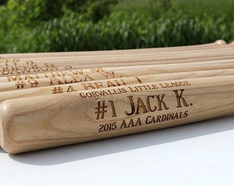 bat bolsa for t ball