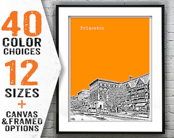 Princeton New Jersey Poster Print Art NJ Item T1763
