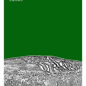 Okemo Vermont VT Ski Skiing Art Print Poster Item T2492 image 2