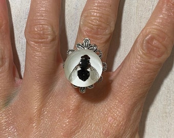 Fly orb ring, cabinet of curiosities, insect taxidermy, bug jewelry, Halloween decor, nature jewelry, resin jewelry, unique gift, goth witch