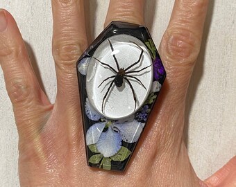 Spider coffin ring, insect taxidermy, insect art, bug jewelry taxidermy jewelry, witchy jewelry, handmade jewelry, gothic, cottage core