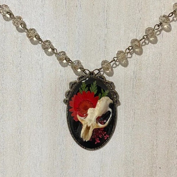 Taxidermy Jewelry - Etsy