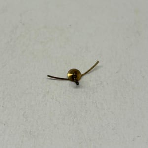 May include: A small, gold-colored metal pin with a circular head and two curved, wire-like extensions. The pin has a twisted, rope-like detail at the base of the head. The pin is likely used for decorative purposes.