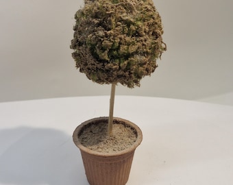 1:12th scale Dolls House Tree Bush in Pot  Signed   VEF55