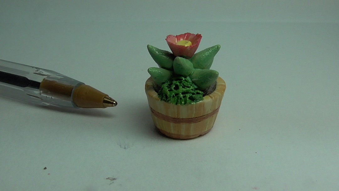 Pianta di cactus in miniatura per casa delle bambole come una vera in vaso di cemento, scala 1:12, scala 1/6, accessori per la decorazione di mobili per bambole - Italia
