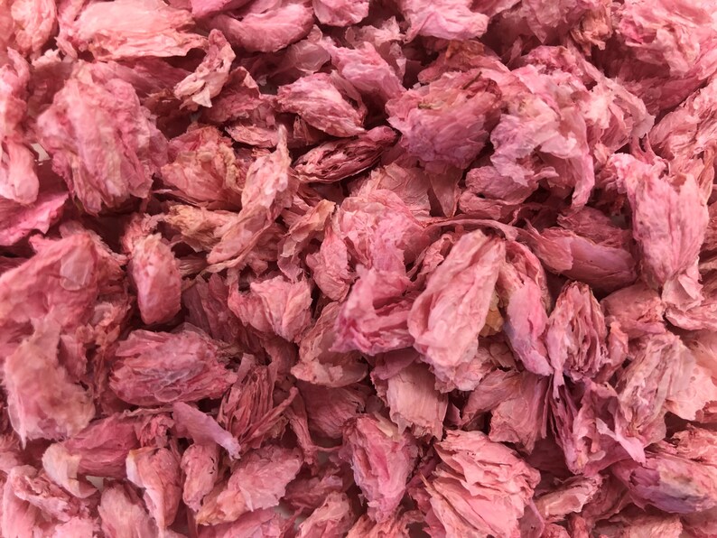 Dried Edible Sakura Cherry Blossom Petals 4g from 30 Etsy