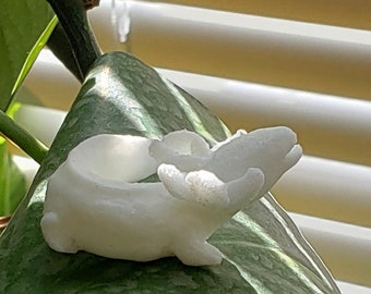 Tiny Mudpuppy Miniature BLANK