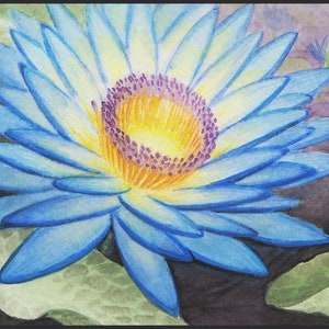Postcard - Blue Lotus
