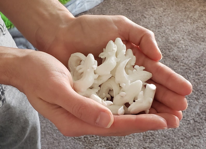 Tiny Mudpuppy Miniature BLANK